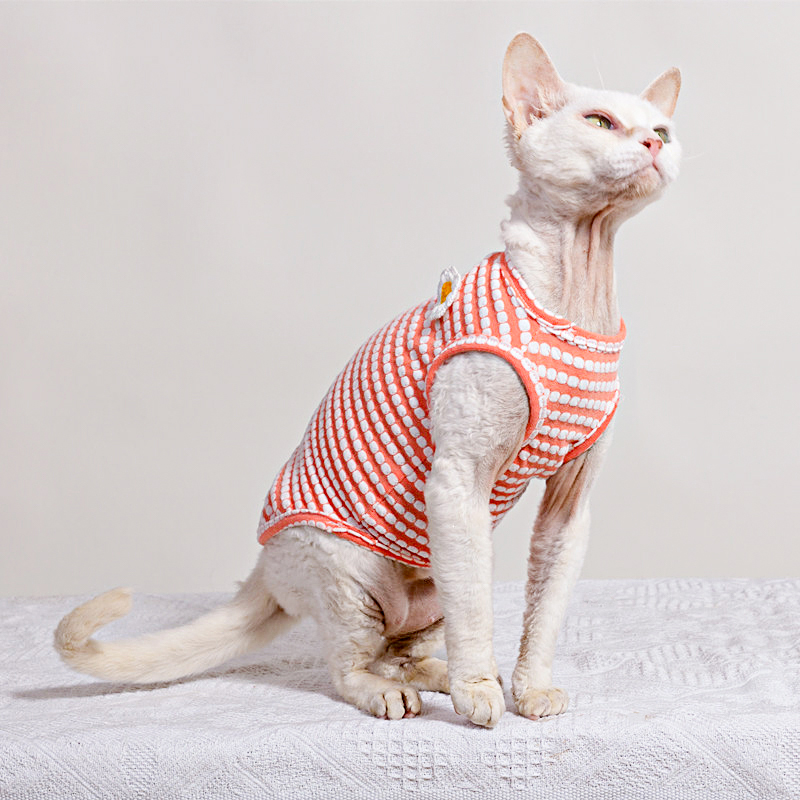 Sommer-T-Shirt für Sphynx-Katz – Soft Summer Yellow Clothing Bewertung und Preis
