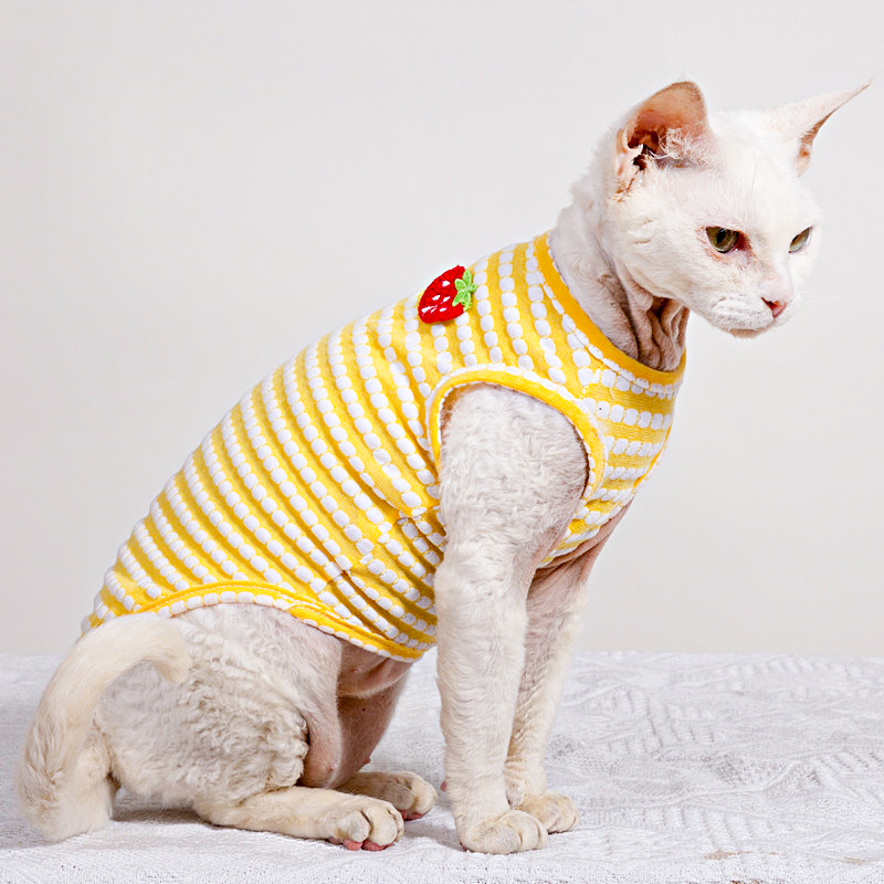 Sommer-T-Shirt für Sphynx-Katz – Soft Summer Yellow Clothing Bewertung und Preis