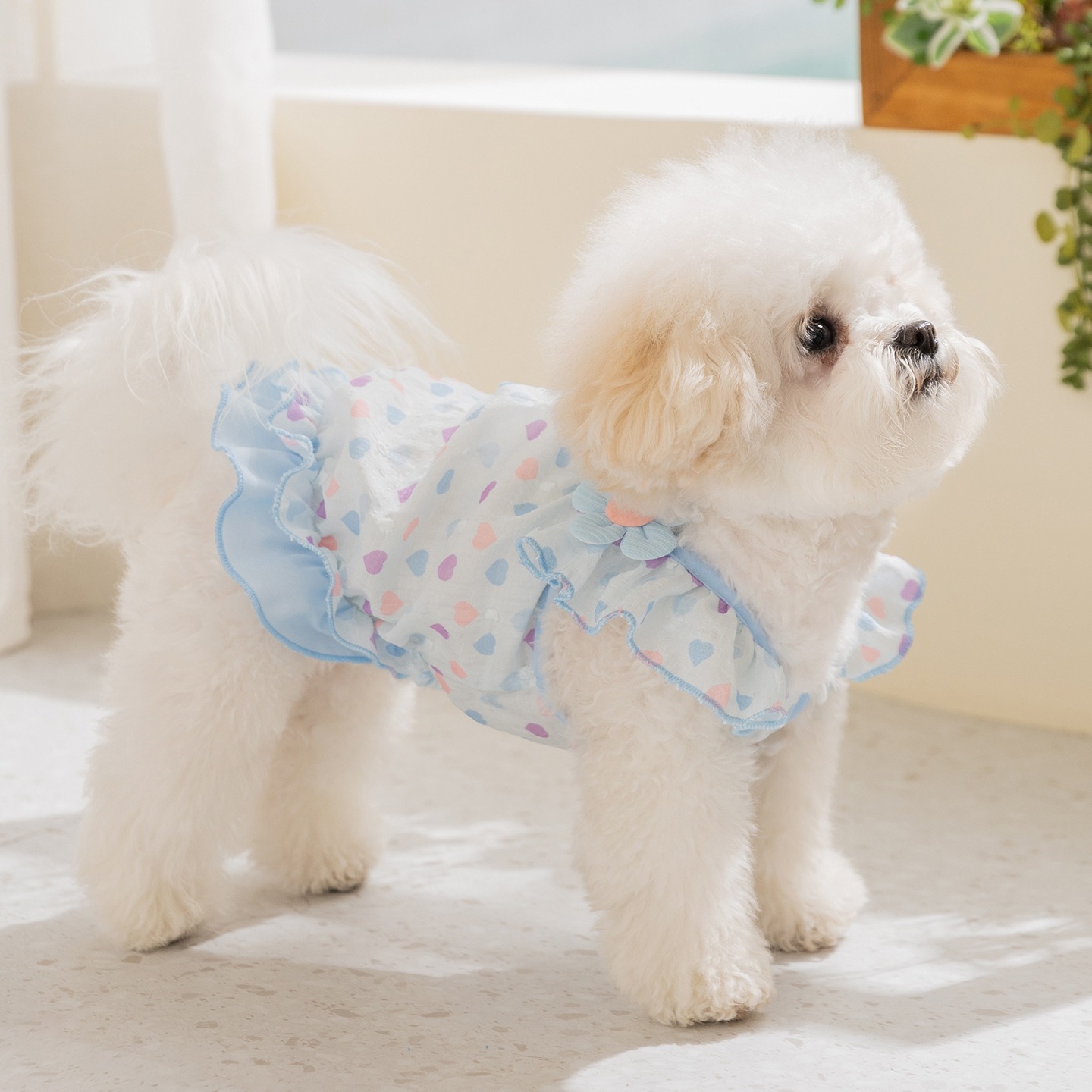 Gelbes Liebes-Hundekleid: Atmu – Soft Summer Yellow Clothing Bewertung und Preis