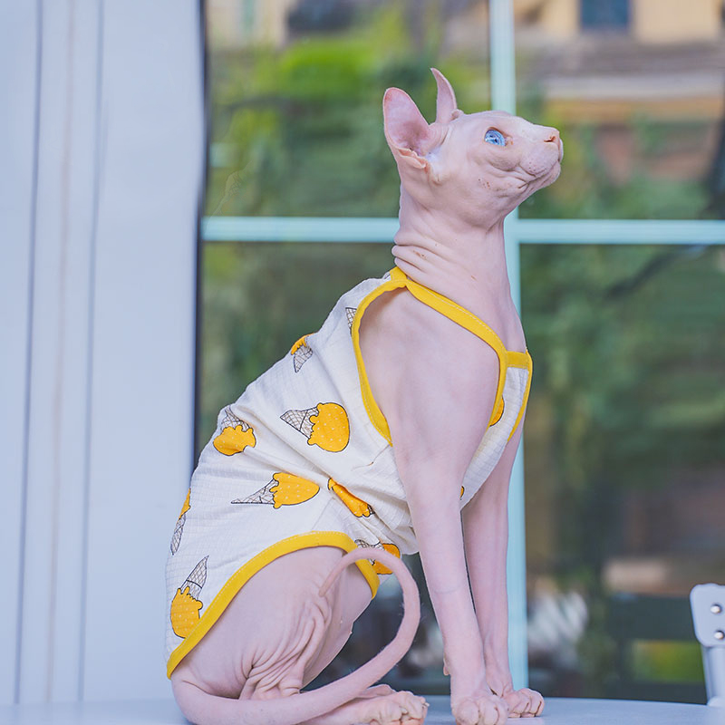Sphynx Katze Kleidung Sphinx B – Soft Summer Yellow Clothing Bewertung und Preis